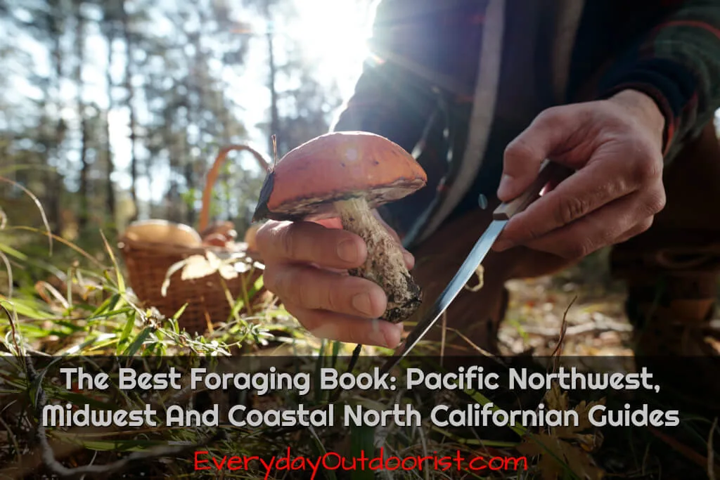 The Best Foraging Books: Pacific Northwest, Midwest And Coastal North Californian Guides